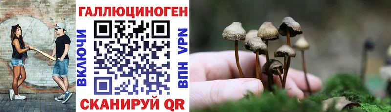 Галлюциногенные грибы Magic Shrooms  наркотики  Россошь 